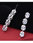 Elegant Zircon Round Shape Diamond Decorated Earrings