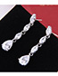 Elegant Zircon Oval Shape Diamond Decorated Earrings