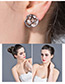 Elegant Crystal Color Matching Decorated Earrings