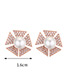 Elegant Zircon Triangle Shape Decorated Earrings