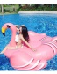 Lovely Pink Flamingo Shape Decorated Simple Swim Ring