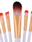 Fashion Brown Color Matching Decorated Makeup Brush(15pcs)