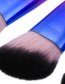 Fashion Black Color Matching Decorated Makeup Brush(12pcs)