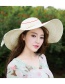 Trendy Light Blue Bowknot Decorated Pure Color Anti-ultraviolet Hat