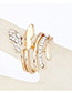 Sweet Gold Color Butterfly Shape Decorated Simple Ring