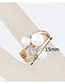 Sweet Gold Color Pearls&diamond Decorated Simple Ring
