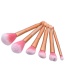 Fashion Rose Gold Pure Color Decorated Brush (6pcs)