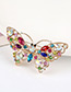 Fashion Multi-color Butterfly Shape Decorated Simple Brooch
