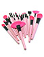 Trendy Pink Sector Shape Decorated Simple Makeup Brush(24pcs With Bag)