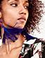 Fashion Dark Blue Tassel&bead Decorated Simple Earrings