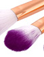Trendy Blue+purple Color Matching Decorated Makeup Brush(10pcs)