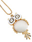 Fashion Gold Color Owl Shape Pendant Decorated Simple Necklace