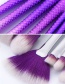 Fashion Purple+silver Color Pure Color Decorated Makeup Brush (10 Pcs)