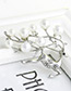 Fashion Gold Color Deer Shape Decorated Simple Brooch