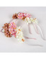 Lovely Plum-red Flower Shape Decorated Cat Ear Hair Clasp