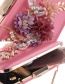 Elegant Champagne Flower Shape Decorated Hand Bag