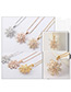 Elegant Rose Gold Color Snow Shape Decorated Necklace