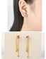 Elegant Gold Tassel Decorated Earrings