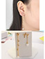 Elegant Rose Gold Star Shape Decorated Earrings