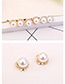 Elegant Rose Gold Round Shape Decorated Earrings
