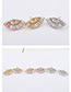 Elegant Rose Gold Fan Shape Decorated Earrings