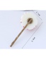Personality White Eye Shape Decorated Hairpin