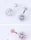 Elegant Silver Color Round Shape Decorated Earrings