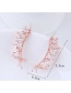 Fashion Rose Gold Oval Shape Decorated Earrings