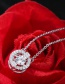 Elegant Silver Color Diamond Decorated Necklace