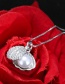 Elegant Silver Color Shell Shape Decorated Necklace