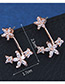 Sweet Rose Gold Flowers Decorated Simple Earrings