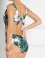 Fashion Green Tree Pattern Decorated Swimwear