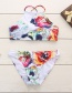 Sexy Multi-color Flower Pattern Decorated Split Bikini