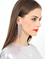 Elegant Gold Color Diamond Deocrated Tassel Earrings