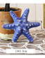 Fashion Beige Starfish Shape Decorated Hook Ornaments(small)