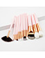 Fashion Pink Sector Shape Decorated Makeup Brush(12pcs)