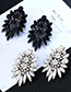 Fashion Black Pure Color Decorated Earrings