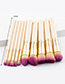 Fashion Gold Color Color-maching Decorated Brushes (10pcs)
