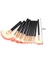 Fashion Orange Fan Shape Decorated Brushes (10pcs)