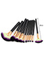 Fashion Black Fan Shape Decorated Brushes (10pcs)