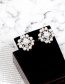 Fashion White Geometric Shape Sdecorated Earrings