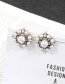 Fashion White Geometric Shape Sdecorated Earrings