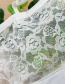 Elegant White Lace Decorated Fake Collar