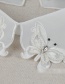 Fashion White Butterfly Shape Decorated Fake Collar