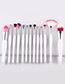 Fashion Multi-color Sector Shape Decorated Makeup Brush (22 Pcs)