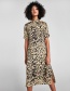 Fashion Brown Leopard Pattern Decorated Long Dress