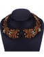 Fashion Brown Flower&diamond Decorated Embroidery Choker