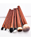 Fashion Brown Color-matching Decorated Brushes (9pcs)