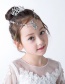 Fashion White Flower&crown Shape Decorated Hair Clip(2 Pcs )