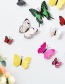 Lovely White Butterfly Shape Decorated Ornament (12pcs)